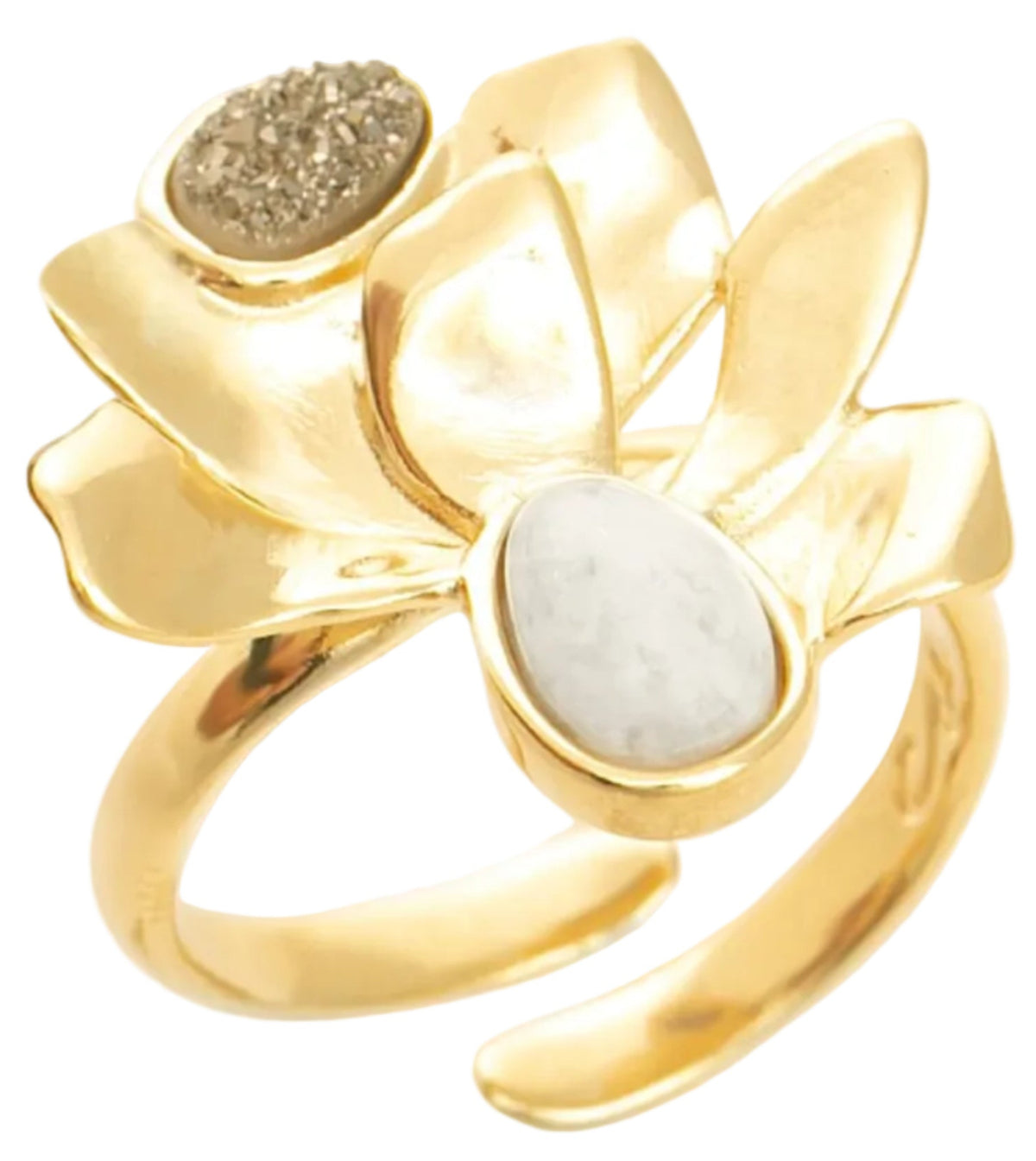 Anel 36:12 Florescer