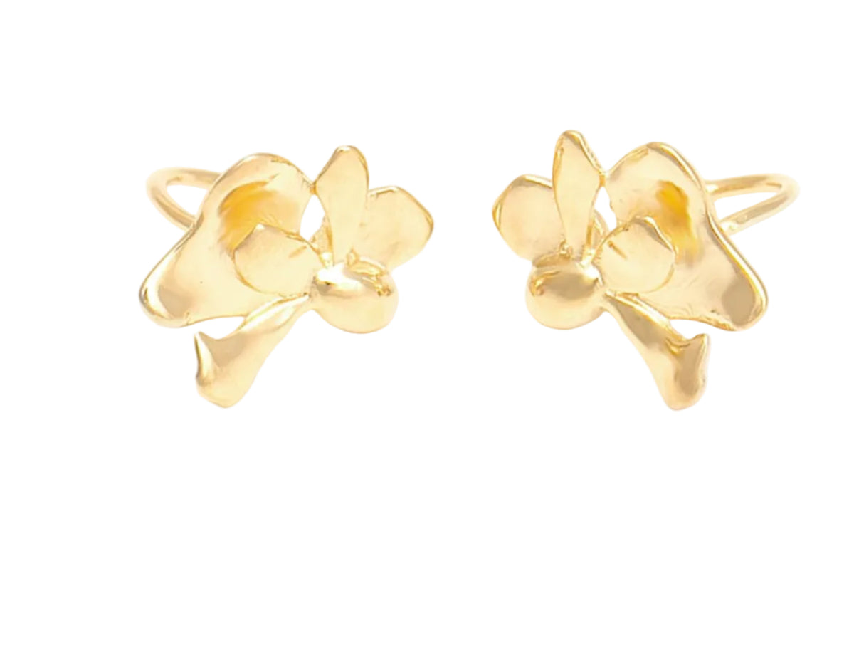 Dupla de Piercings 36:12