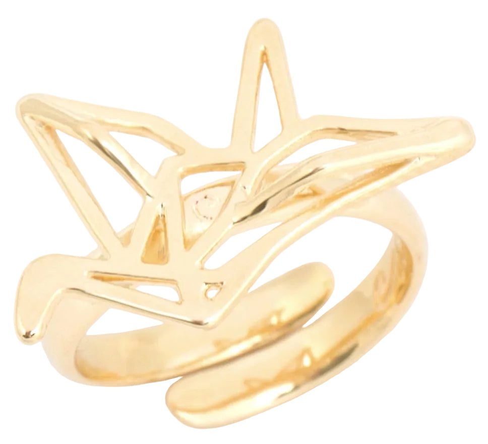 Anel Ressignificar ajustável