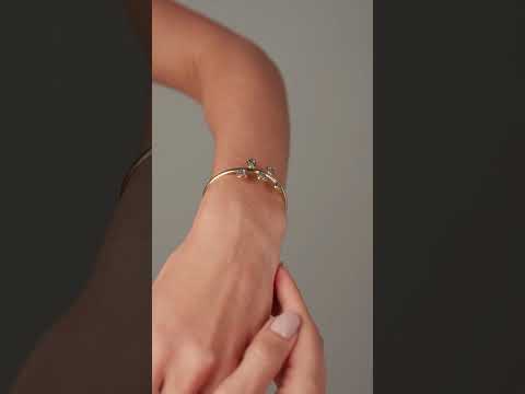 Bracelete Orla Drusa Titânio