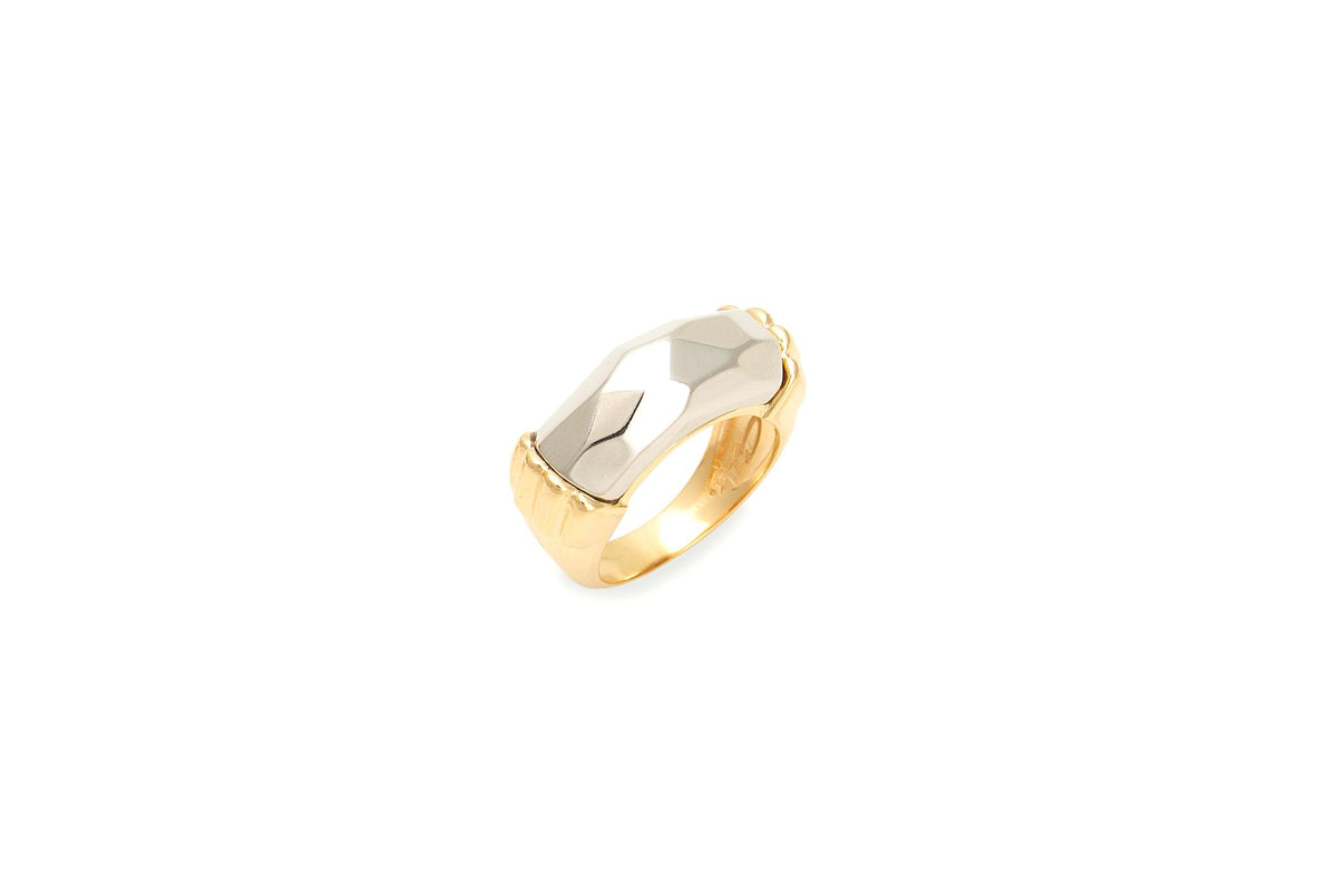 Anel Origem Golden Dual Orla