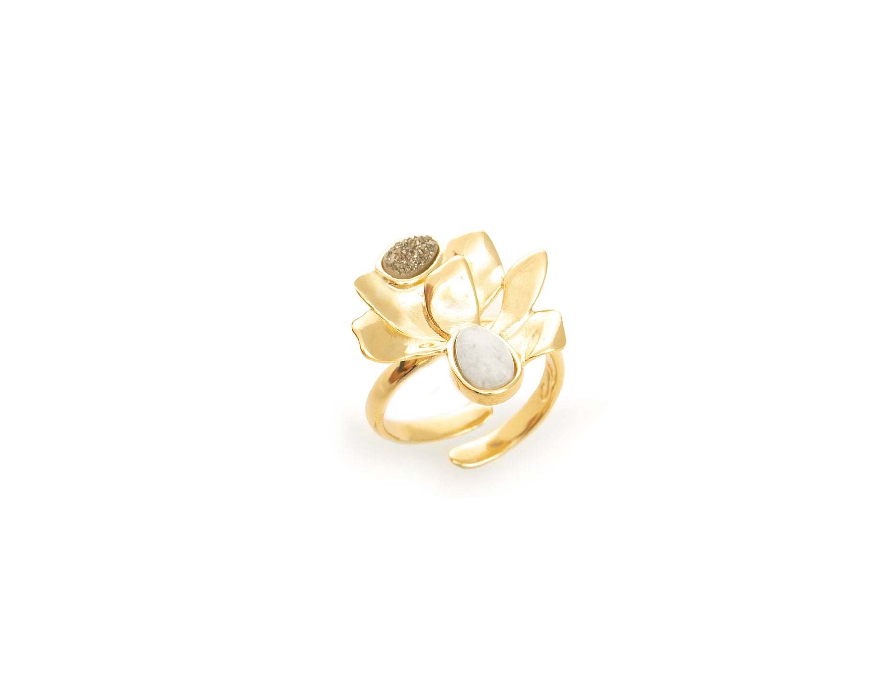 Anel 36:12 Florescer