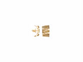 Brinco TBT Destino Triade Rutilo Dourado