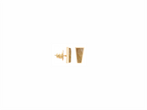 Brinco TBT Destino Sentido  Rutilo Dourado P