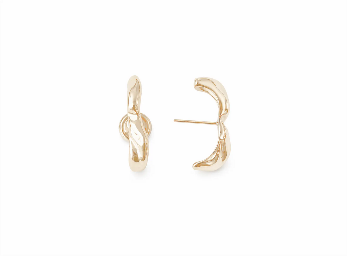 Brinco Earhook Aster TBT Ouro