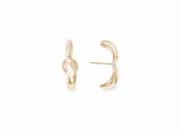 Brinco Earhook Aster TBT Ouro