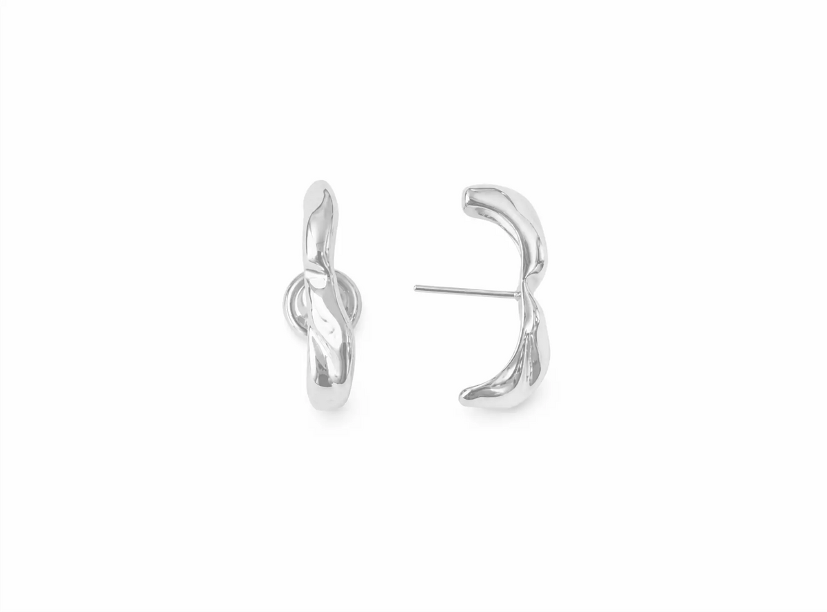 Brinco Earhook Aster TBT Prata