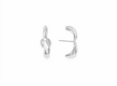 Brinco Earhook Aster TBT Prata